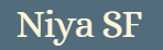 Niya - Silicon Valley Venture Studio